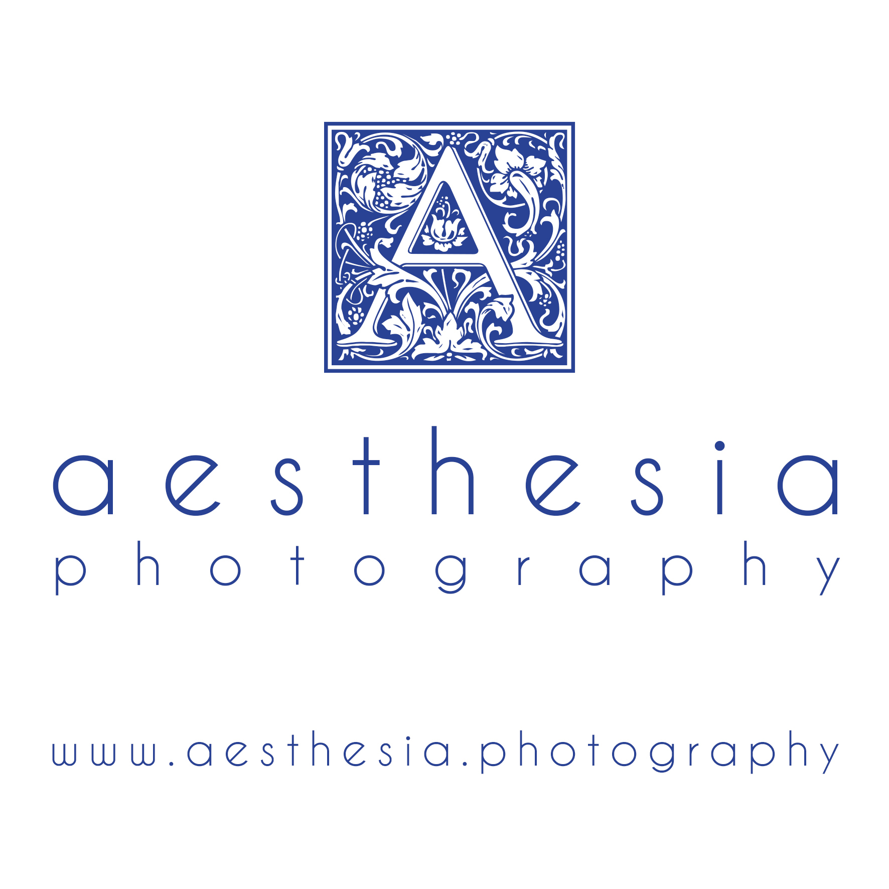 aesthesia photography