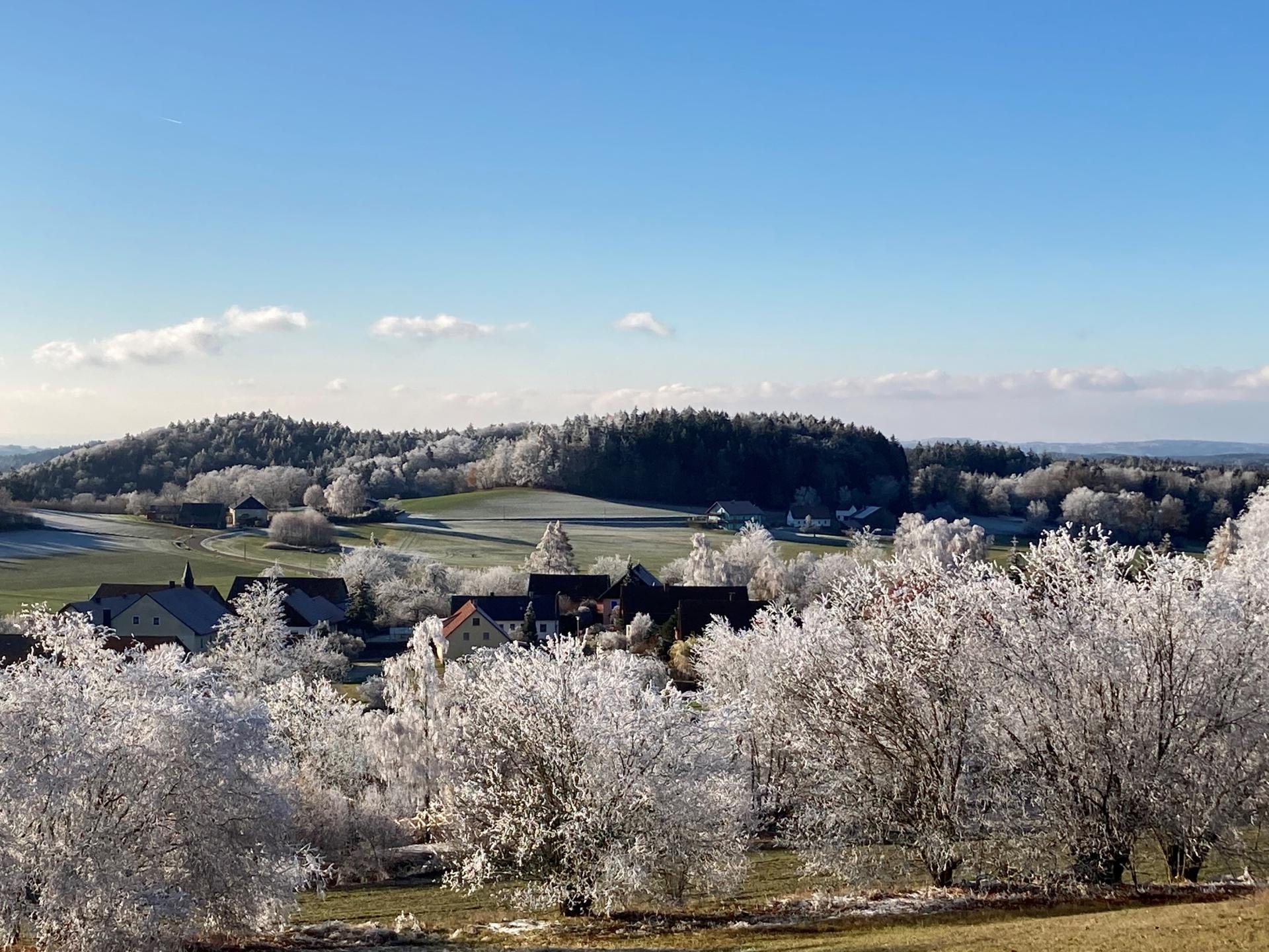 Winterbilder Schillertswiesen Reif 1