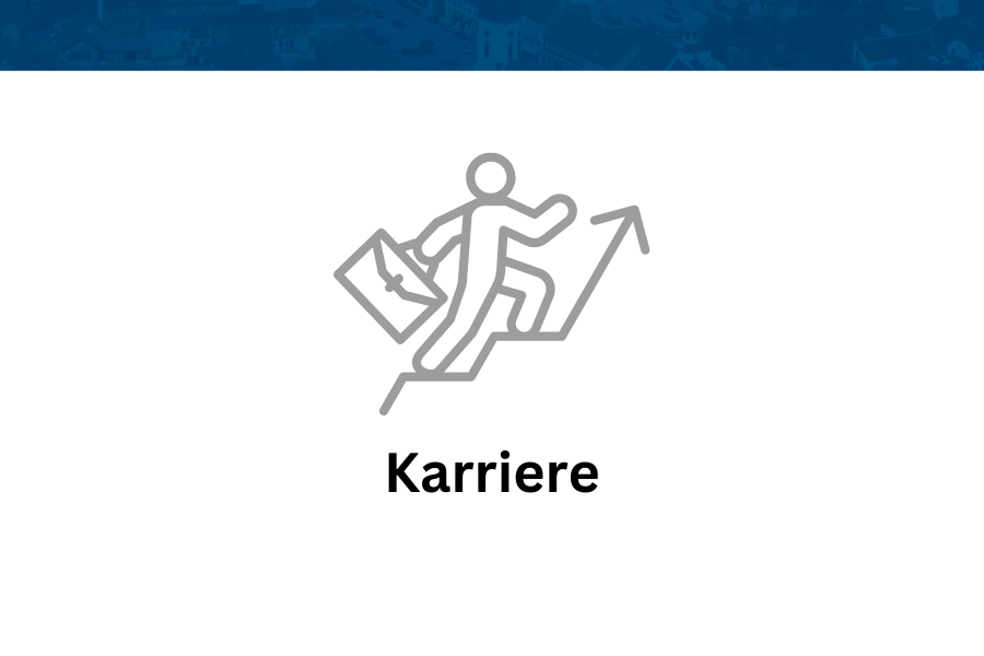 Karriere Icon