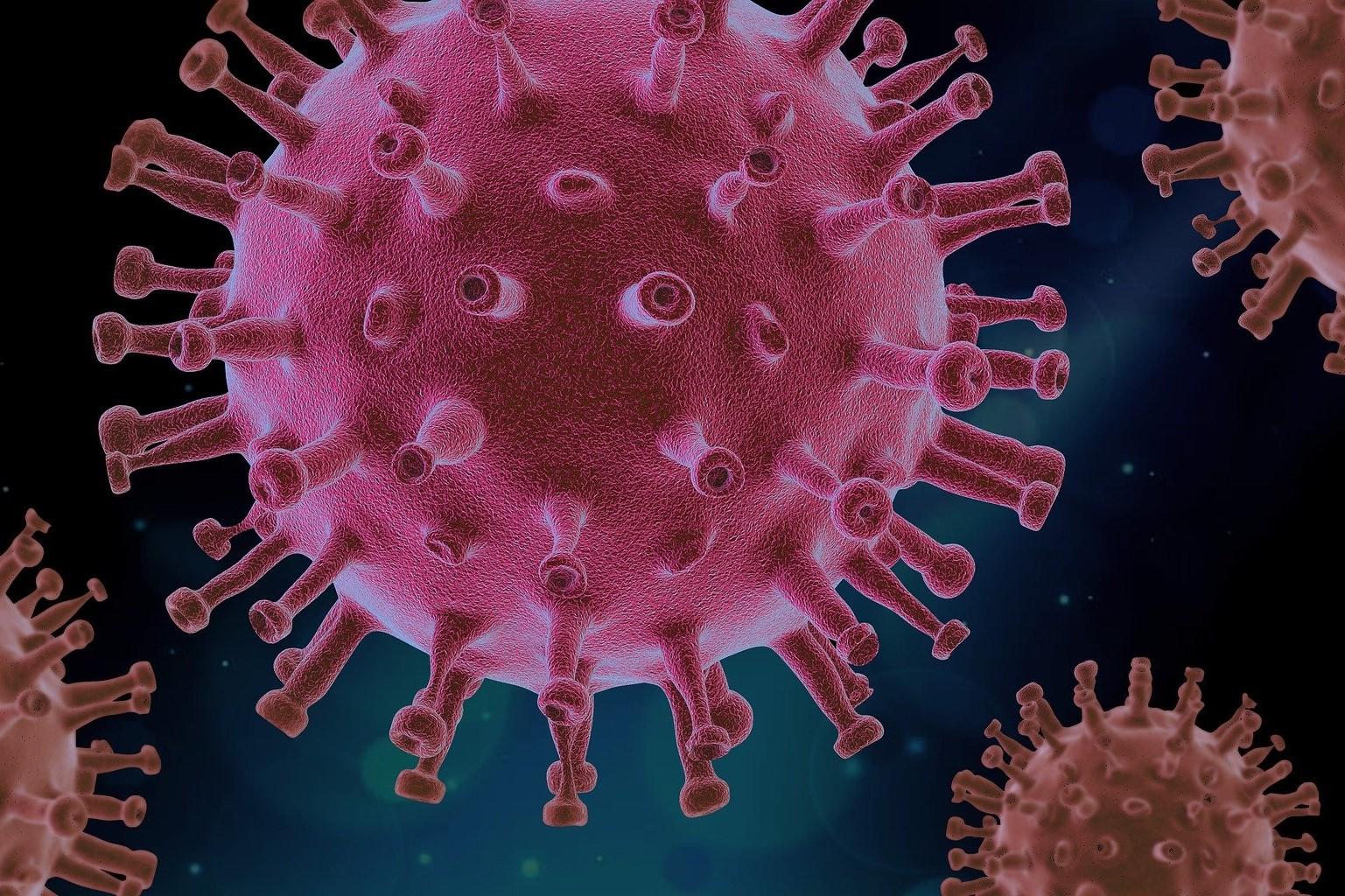 Coronavirus, Quelle: Bild von PIRO4D auf Pixabay