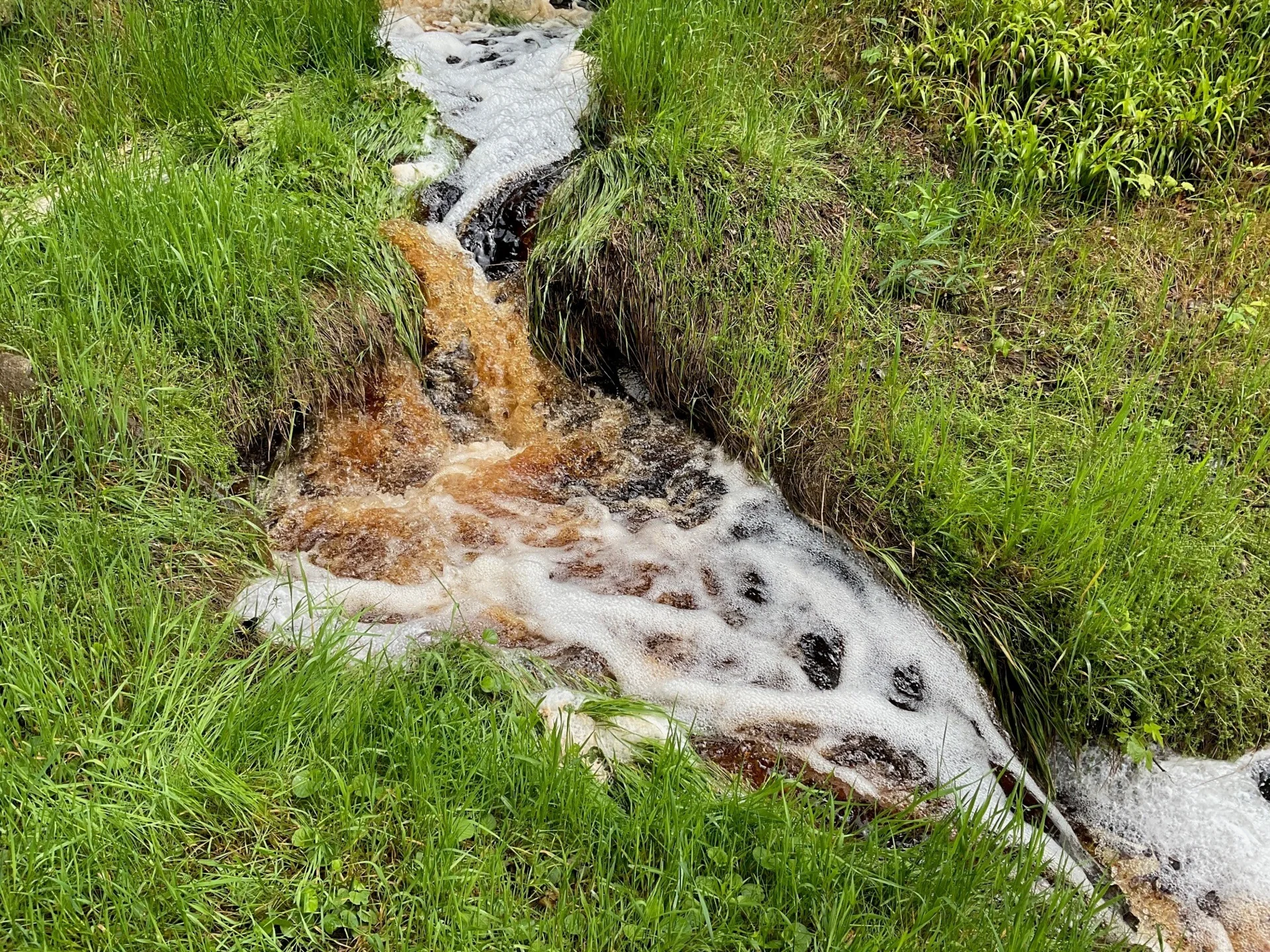 Eine natürliche Schaumbildung kommt beispielsweise bei Bächen aus Moorgebieten wie hier im Erzgebirge vor und ist nicht bedenklich.
