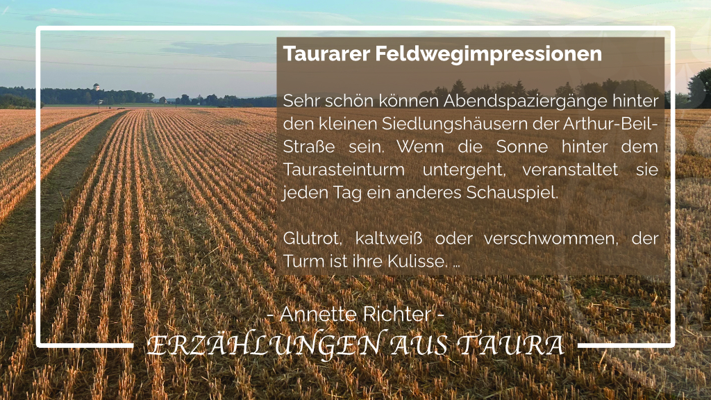 Taurarer Feldwegimpressionen