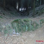 Graben im Hüttenwald 2