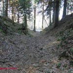Graben im Hüttenwald 3