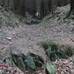 Graben im Hüttenwald 5