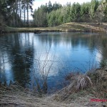 Teich am Schieferbach 2