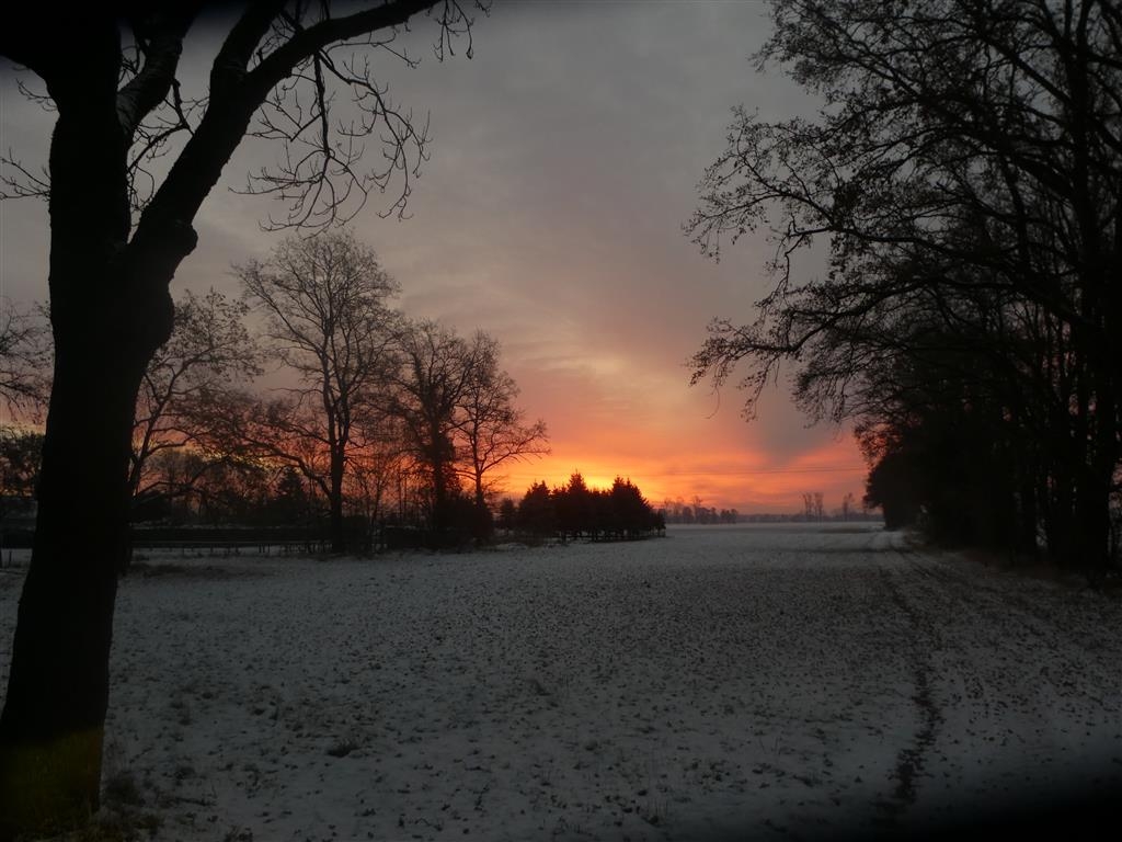 Sonnenaufgang im Dezember