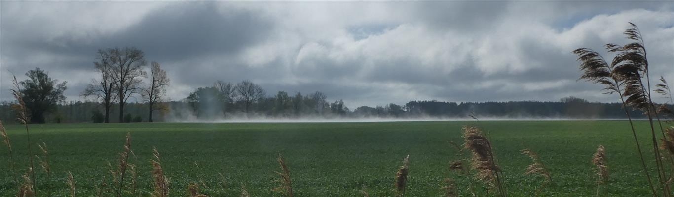 Phänomen einer örtlch begrenzten Nebelbildung über einem Feld bei Sieversdorf