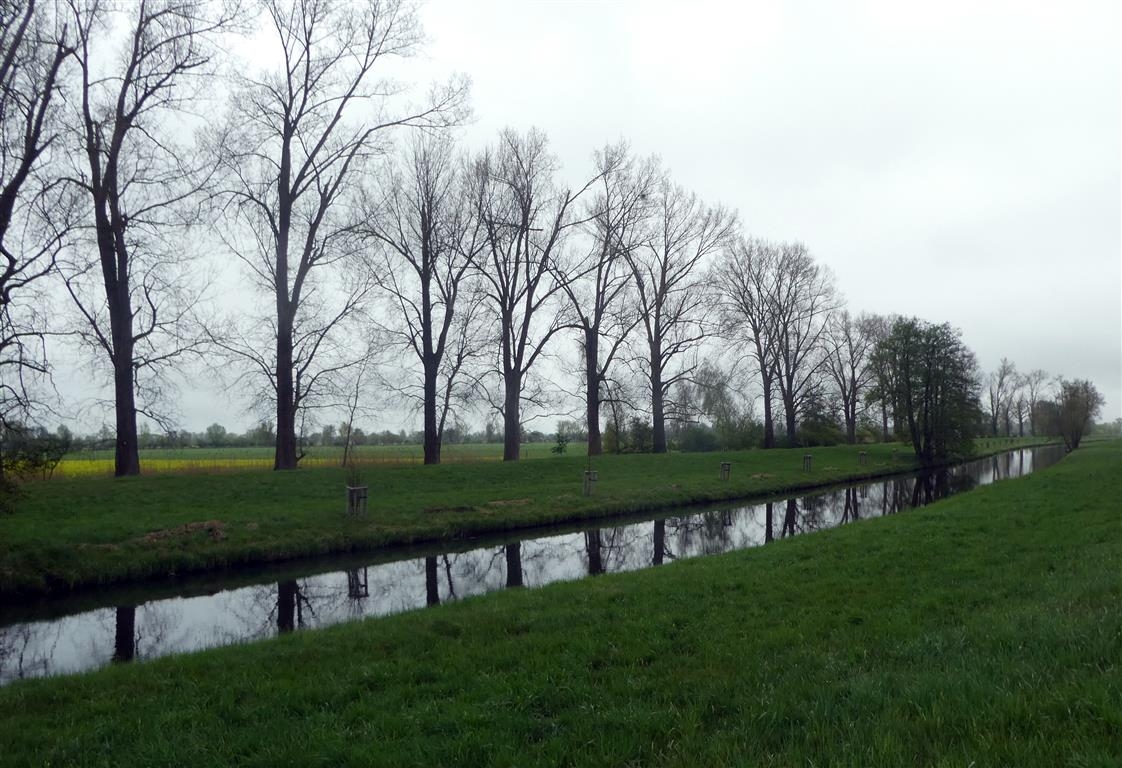 Dosselauf bei Sieversdorf