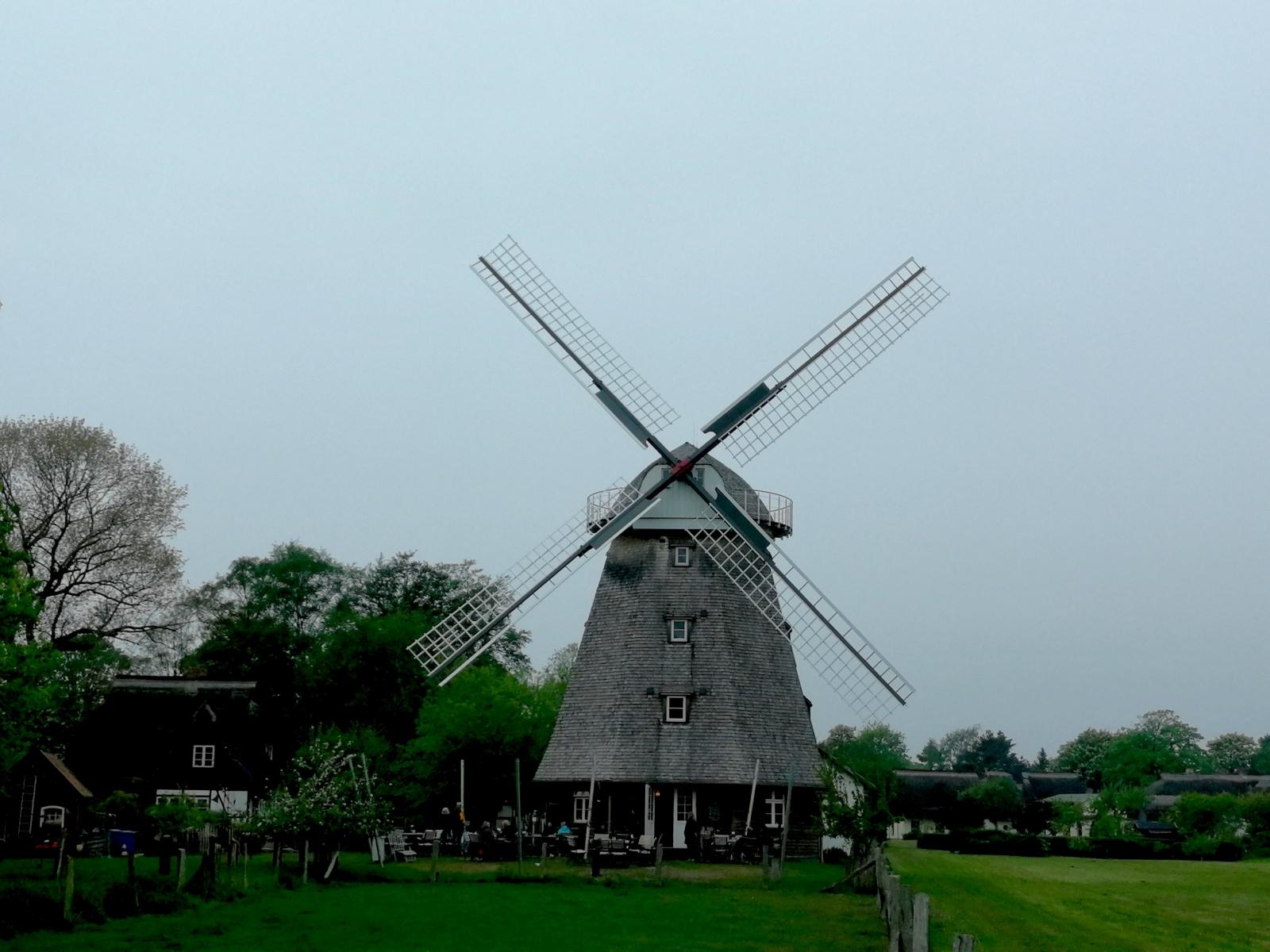 Mühle von Ahrenshoop