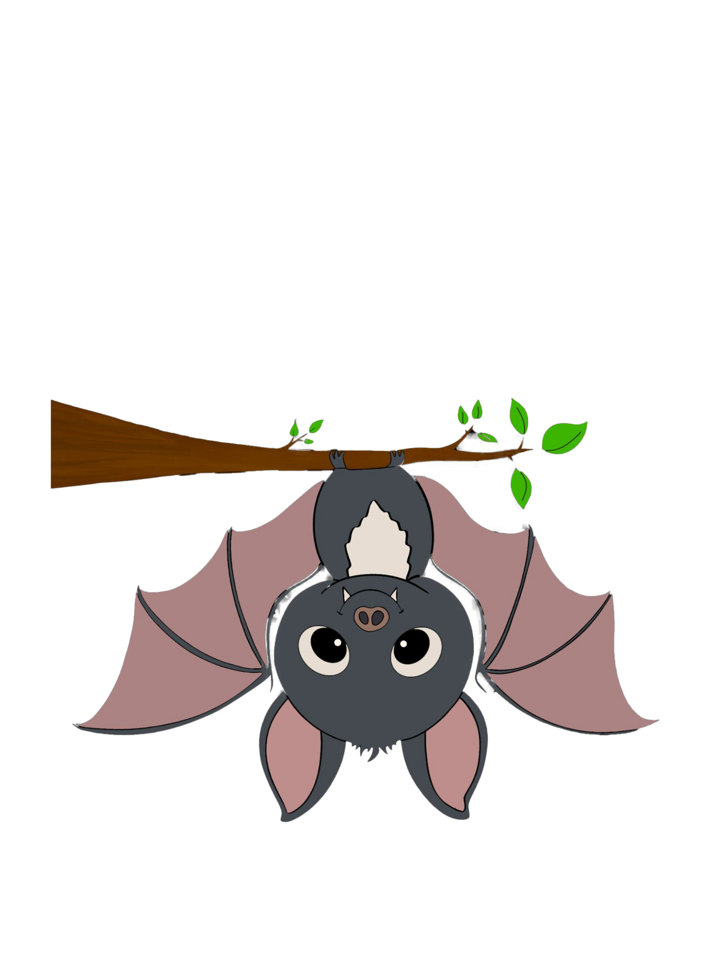 Fledermaus