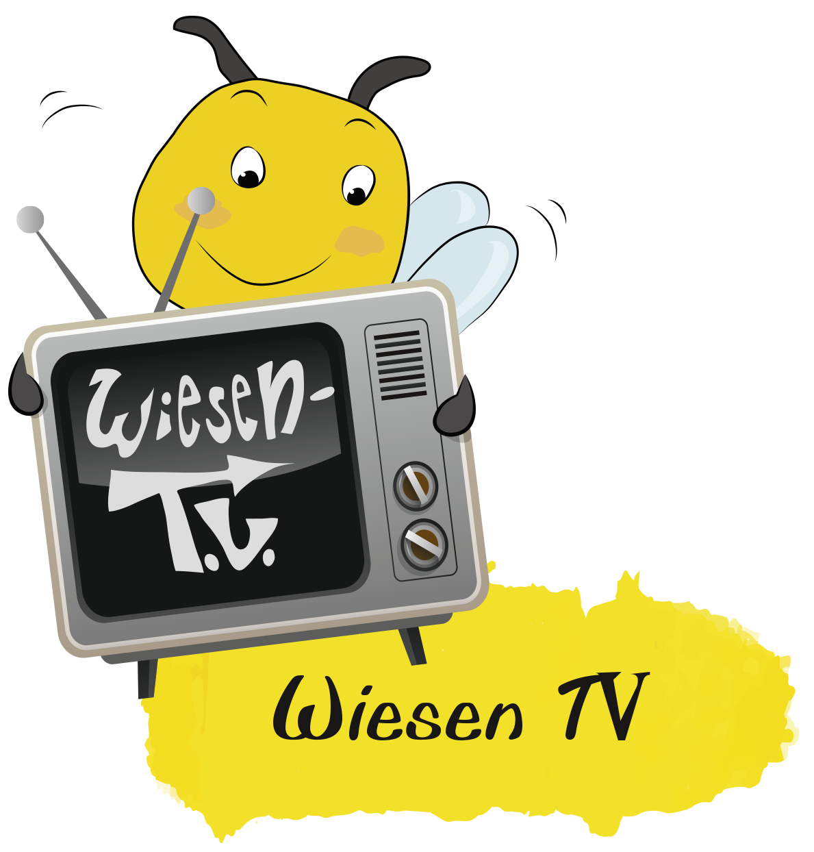 Sumsi_Wiesen_TV