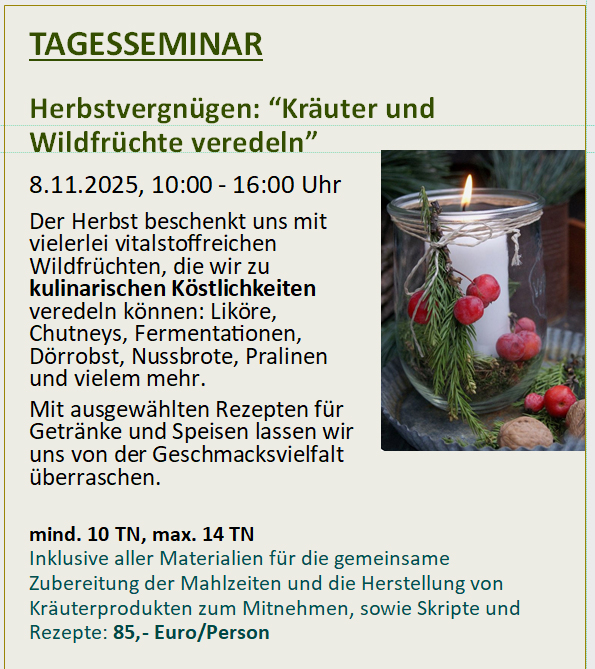 Kräuterschule Herbst 2025