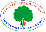 Grundmann Akademie