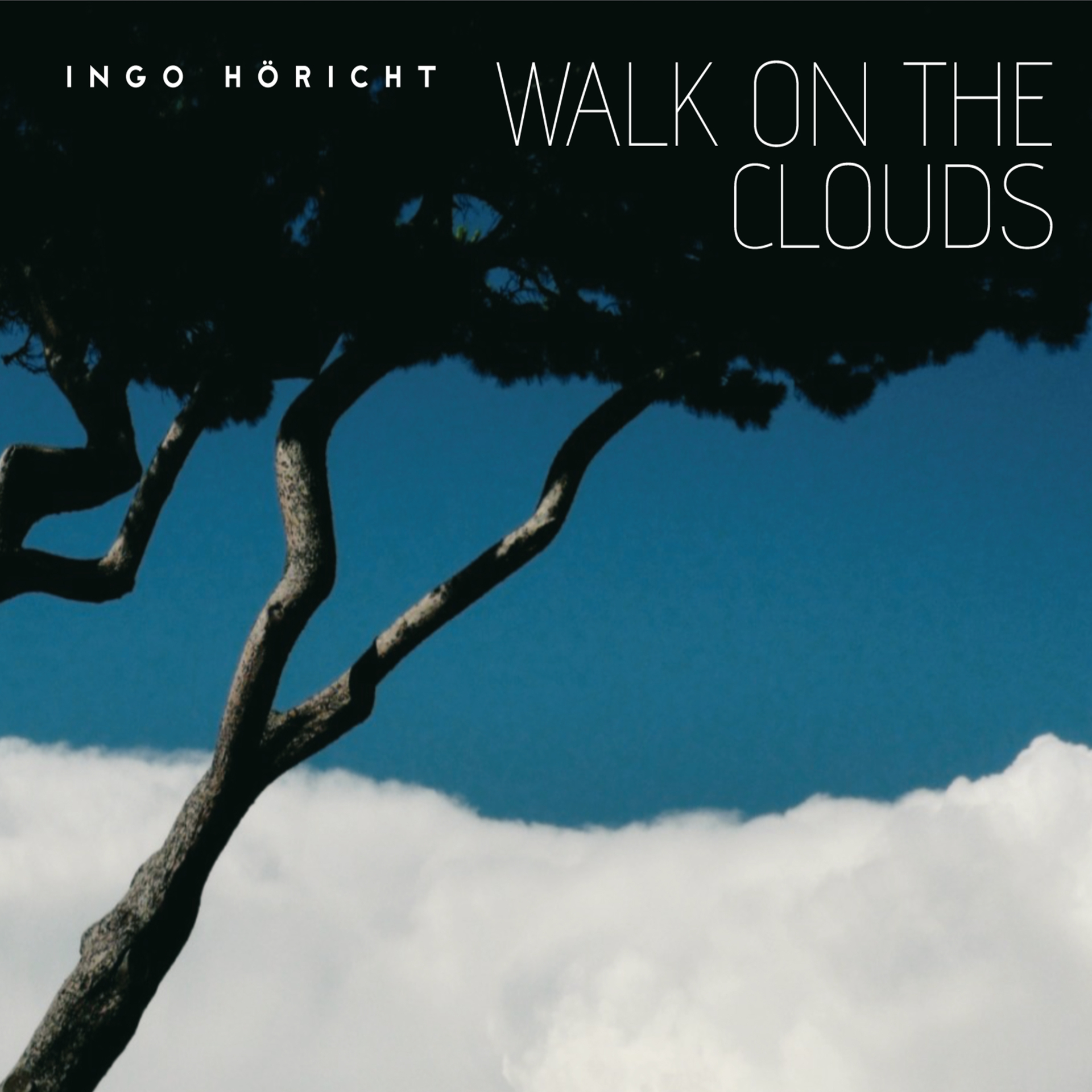 Walk On The Clouds Cover