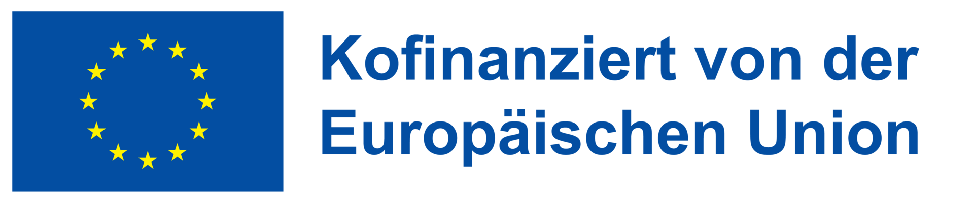 EU Logo Neu