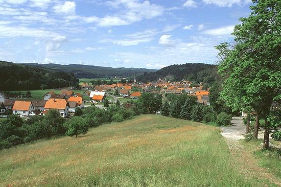 Bild vom Ortsteil Waldau