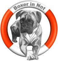 Boxer in Not