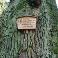 Dönges Bild 5
