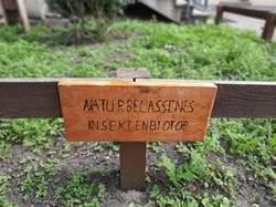 Insekten 1