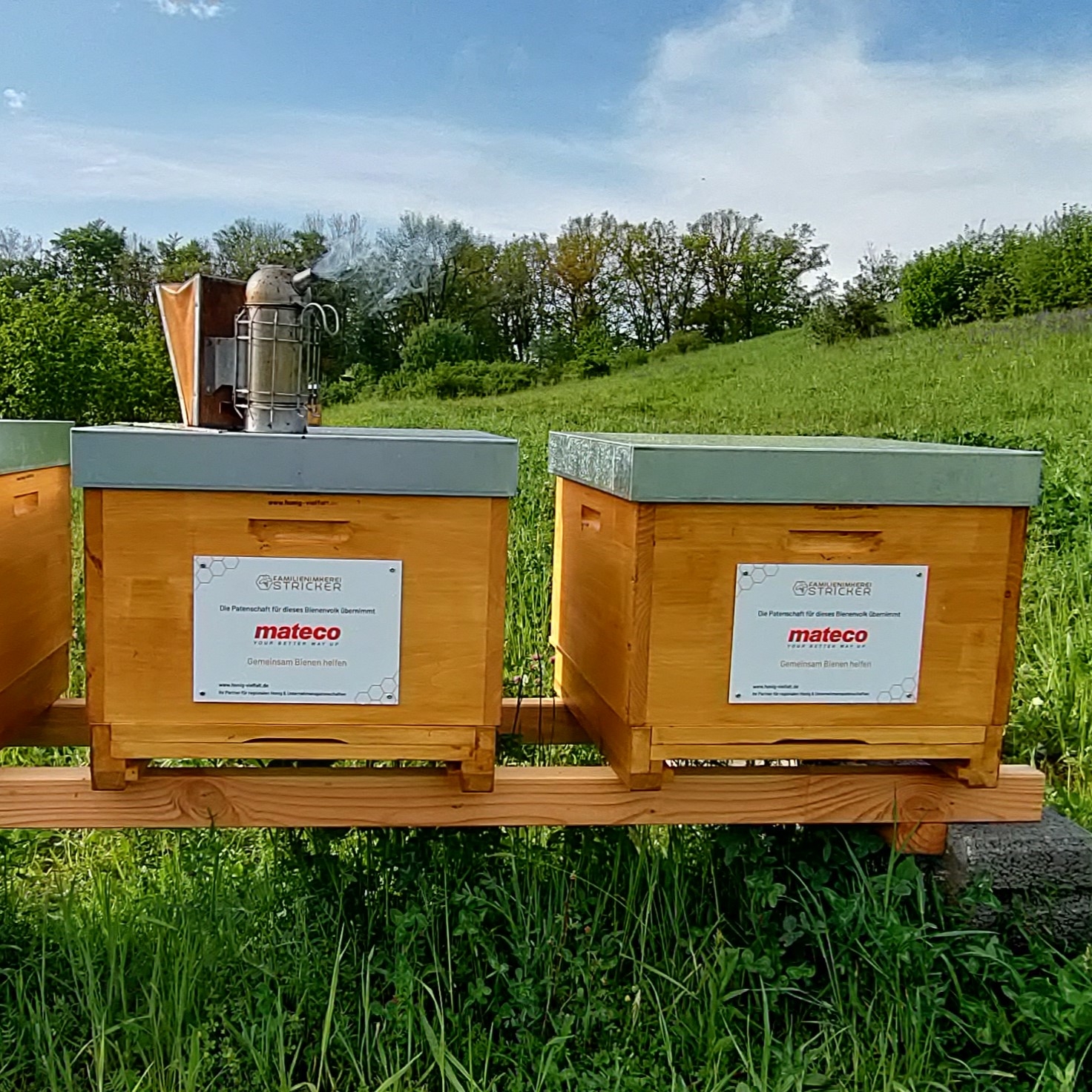 Bienenstöcke