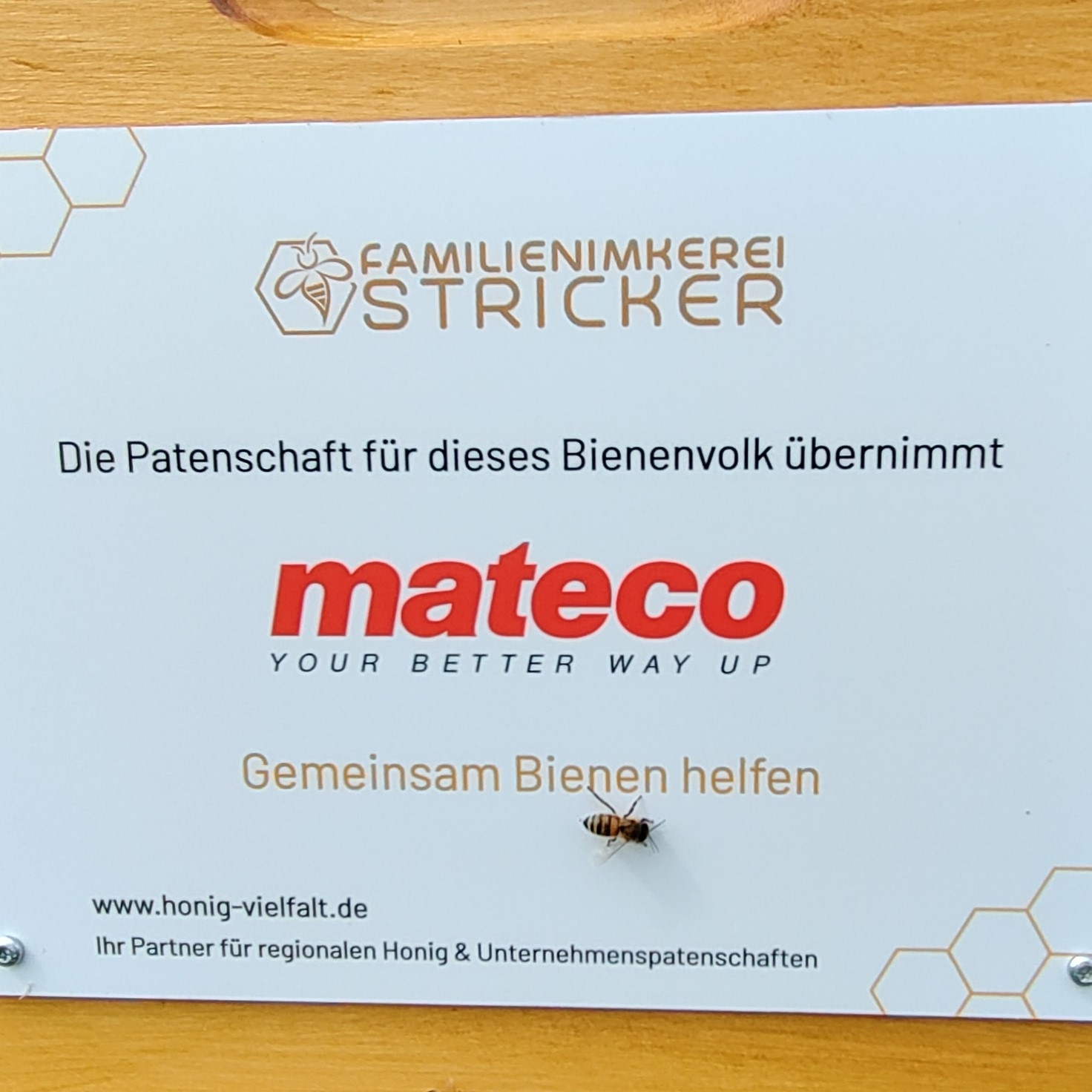 mateco