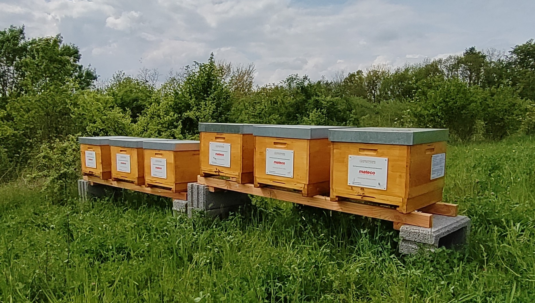 Bienenstöcke