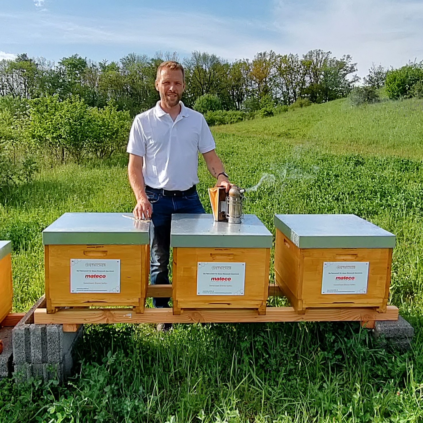 Bienenkolonie