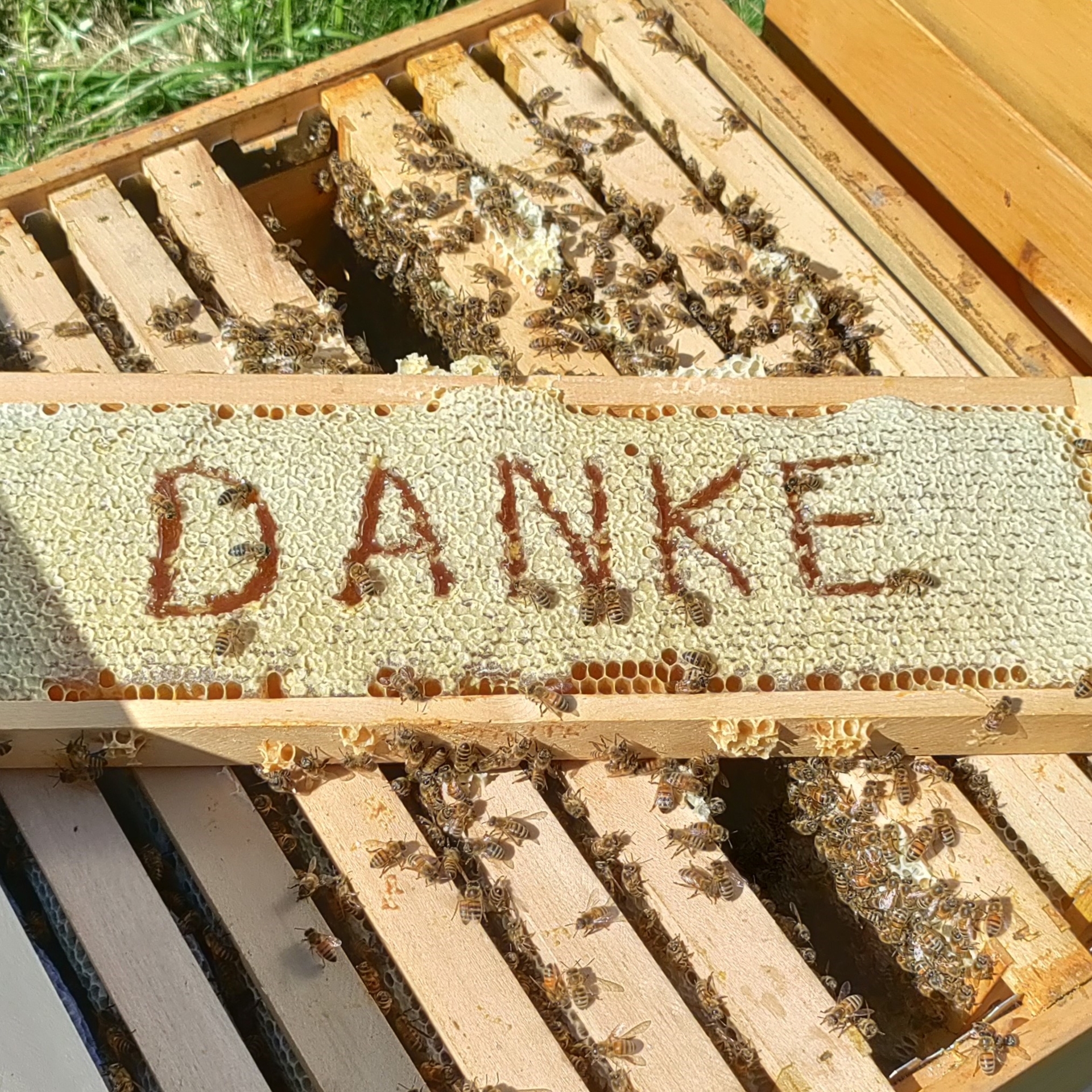 Unsere Grundsätze Danke