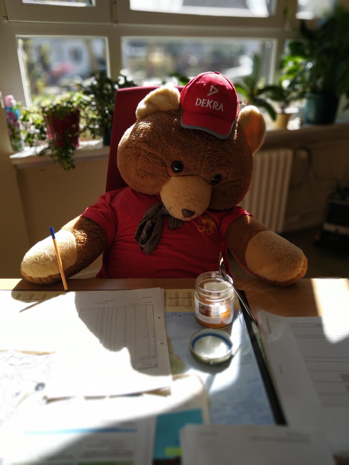 Karli am Schreibtisch