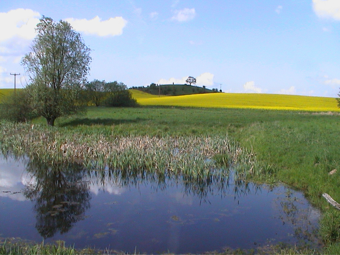 Klein-Vielen