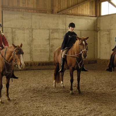 Reiten