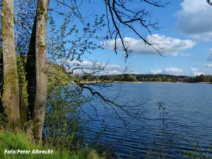 Weiher