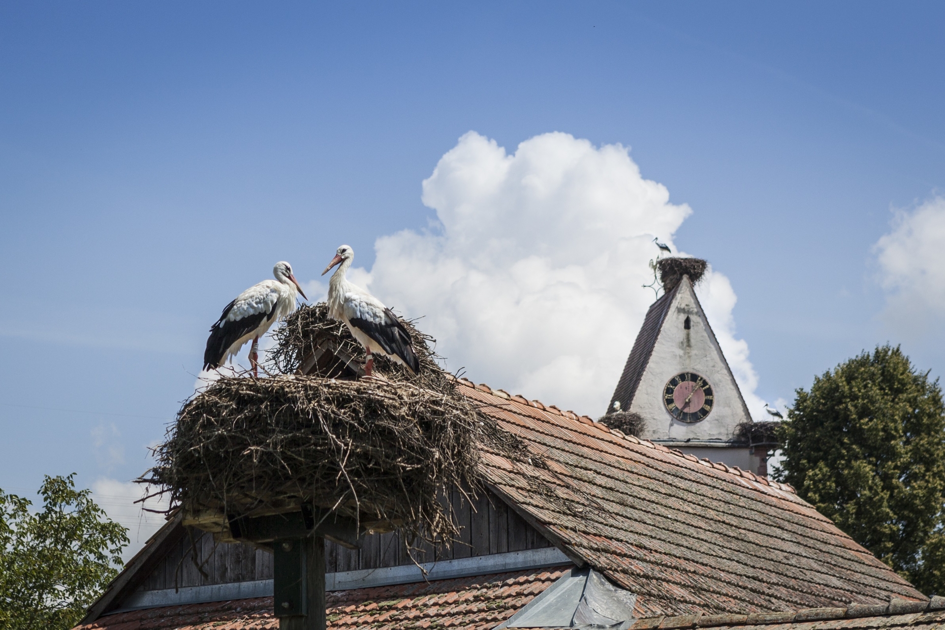 Holzen Storchendorf