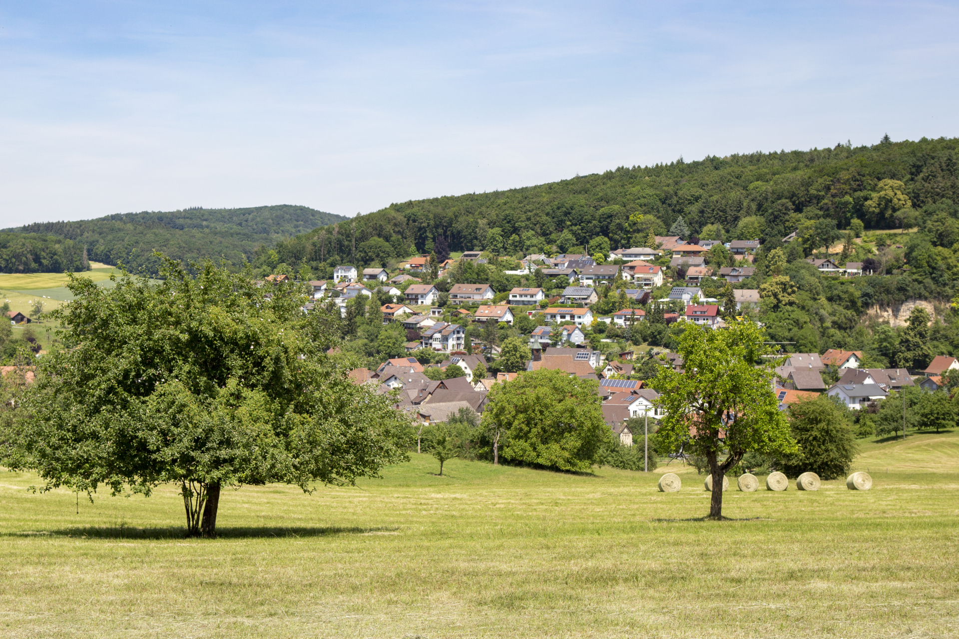 Riedlingen Dorfblick