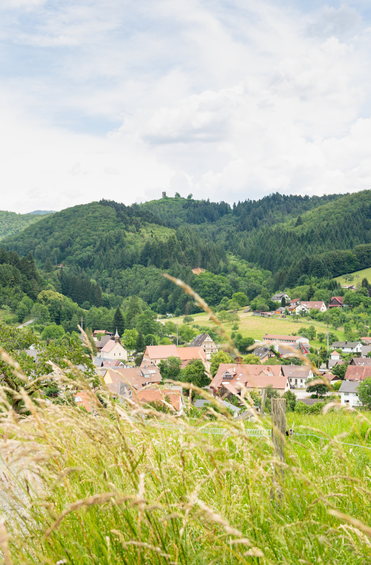 Sitzenkirch Wiese