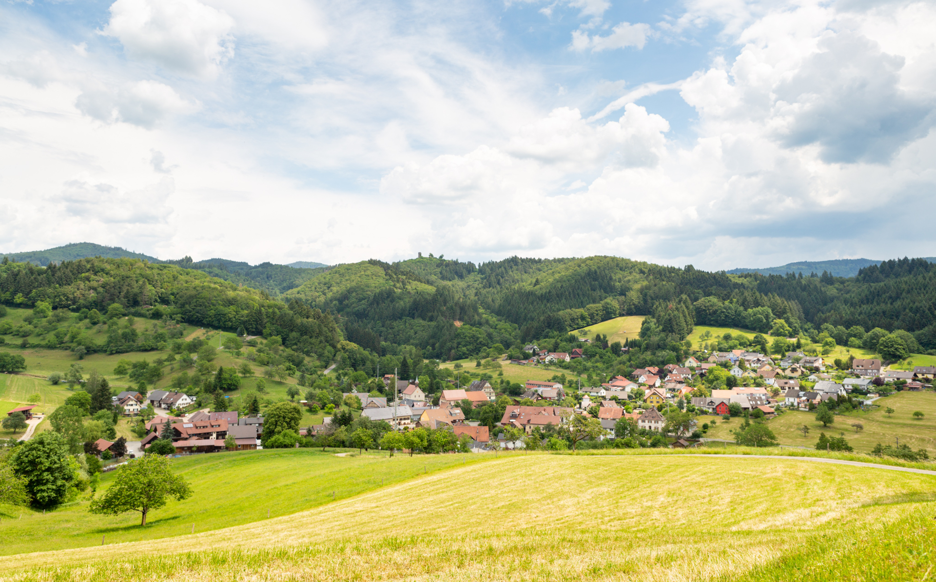 Sitzenkirch Dorfansicht