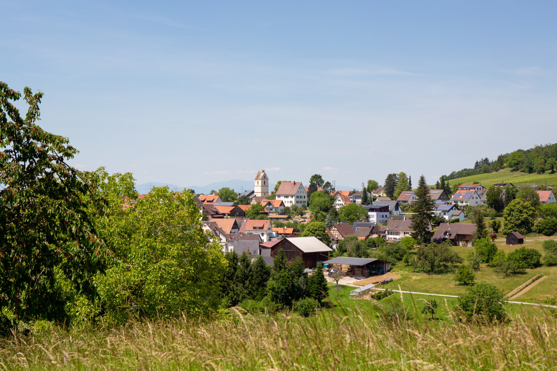 Tannenkirch