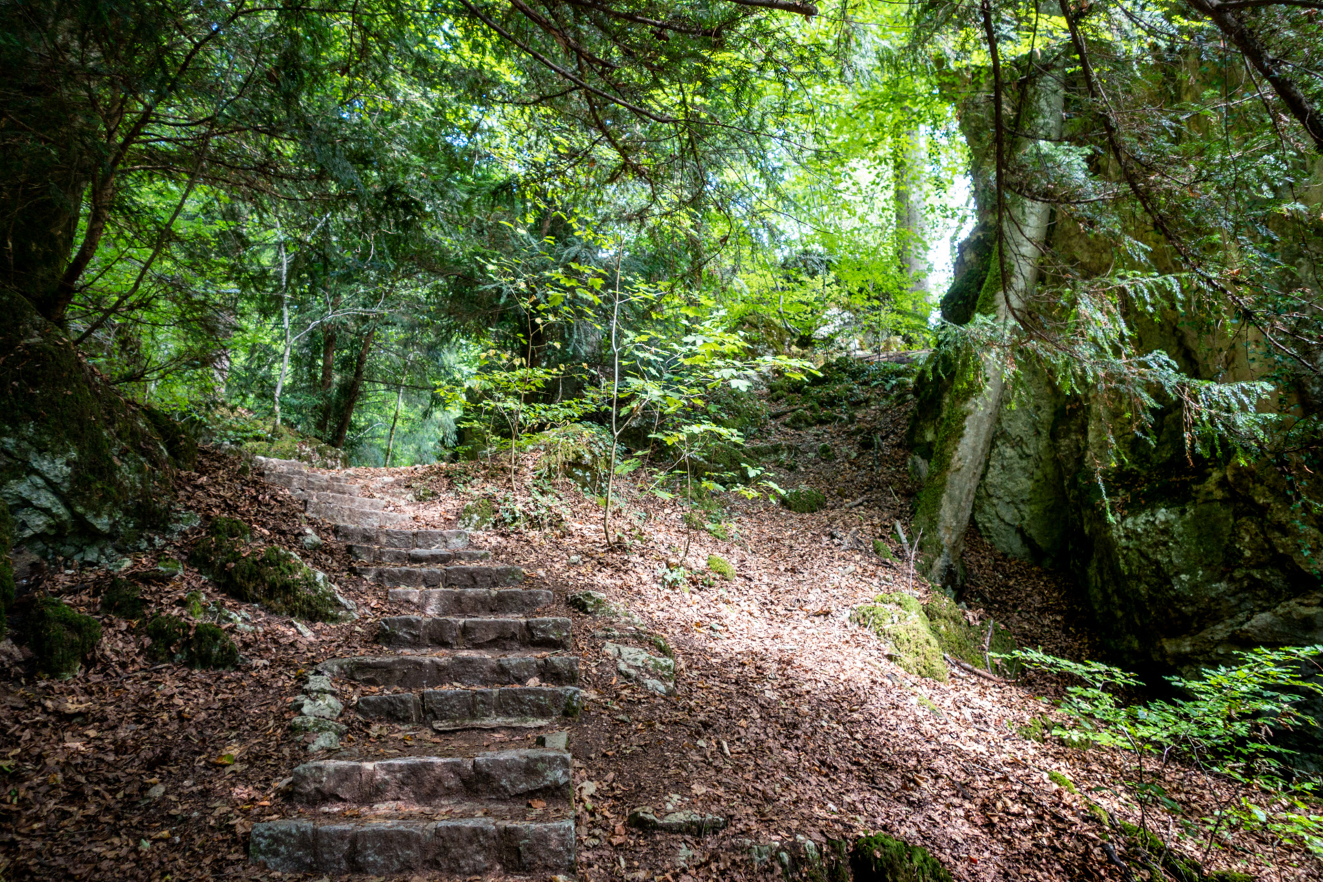 Wolfsschlucht