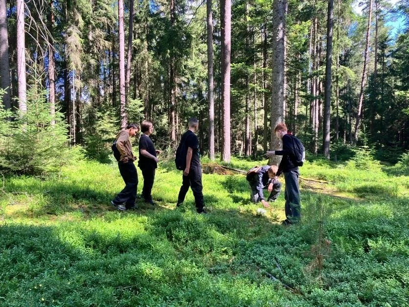 Naturentdecker im Wald (2)