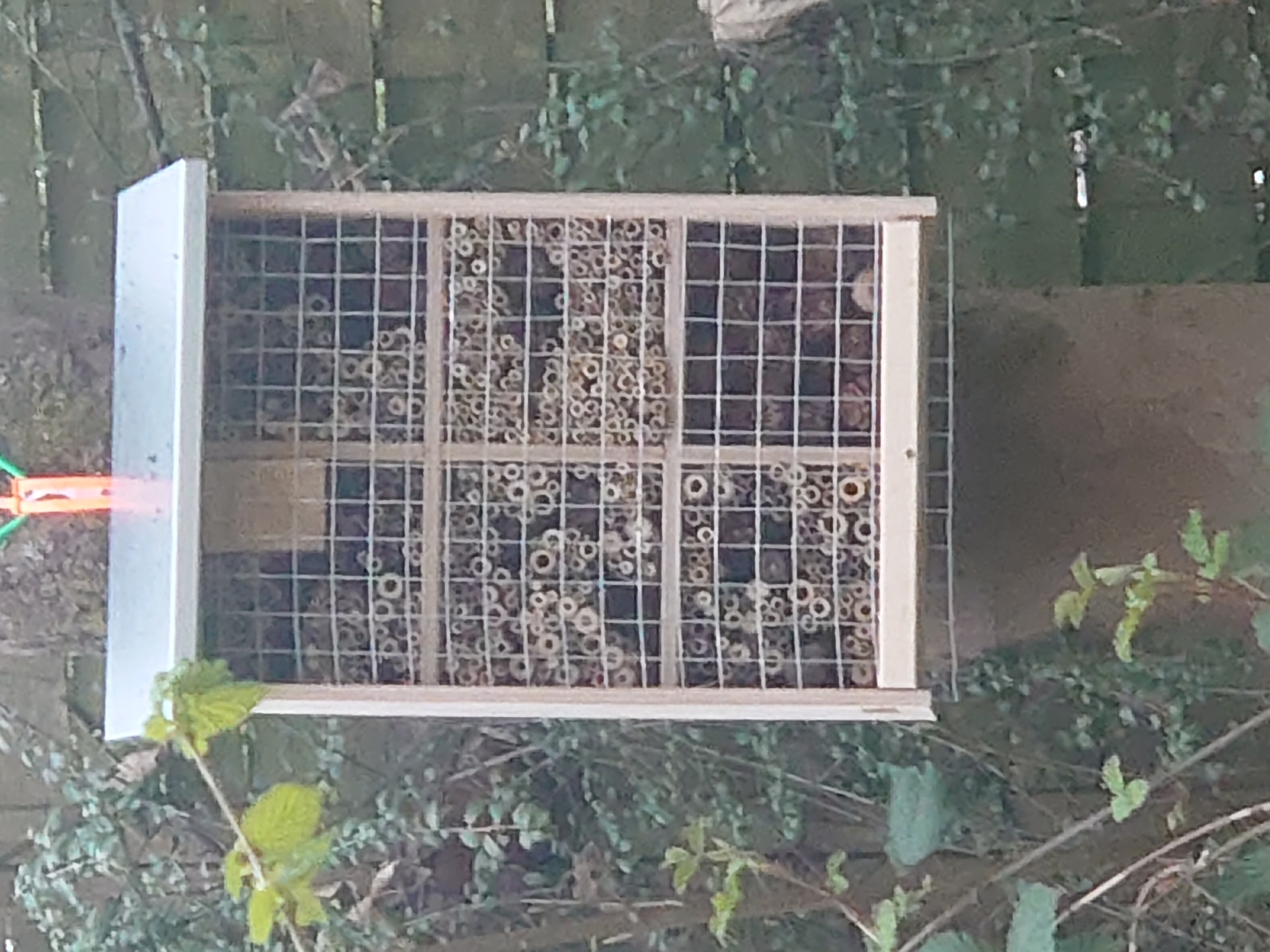 Bienenhotel