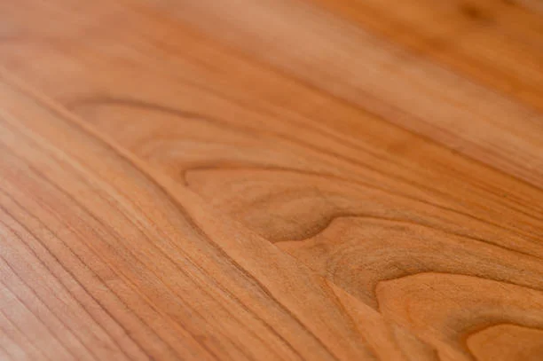 wood-texture-cut-tree-trunk