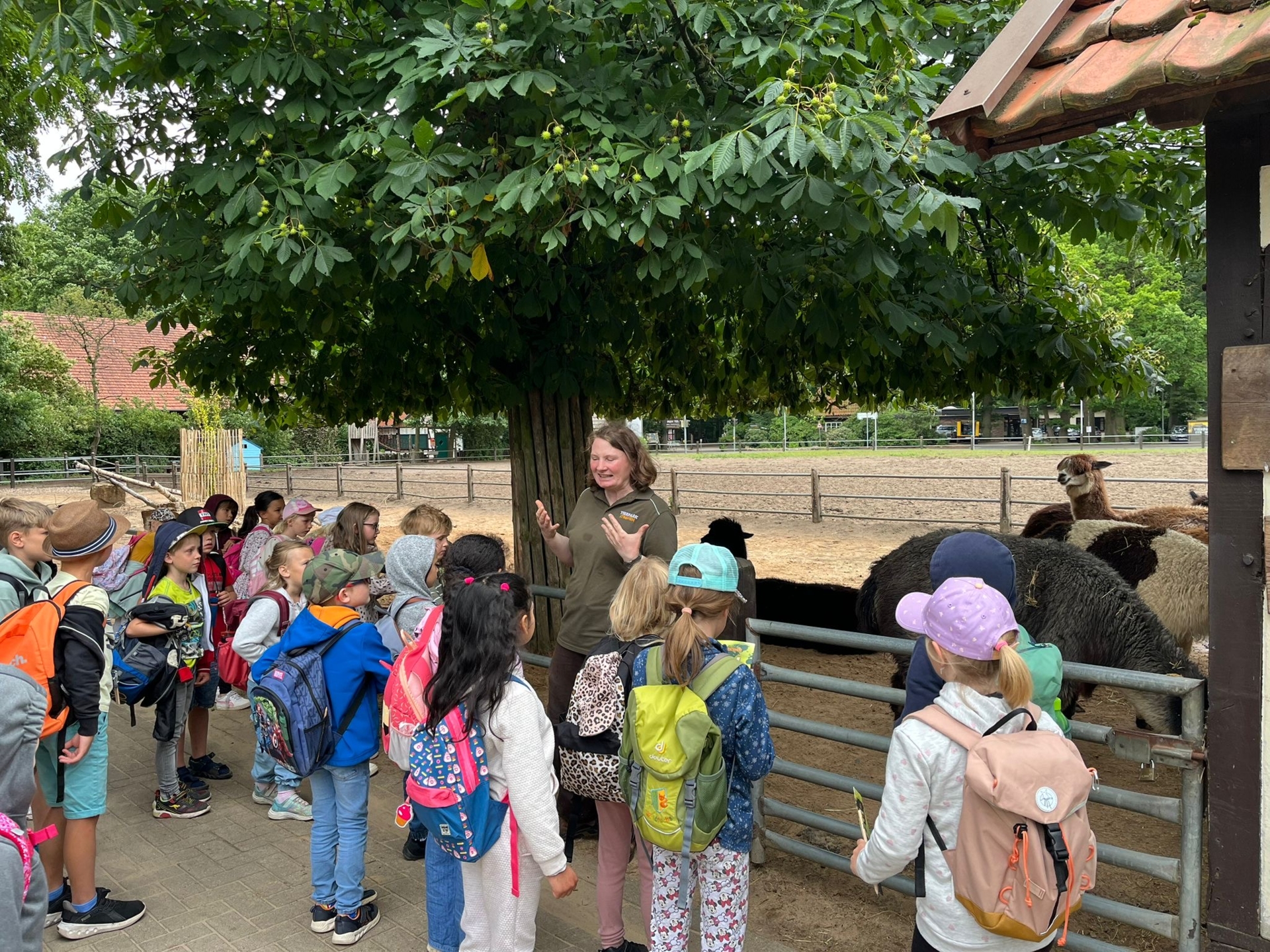 Tierpark4