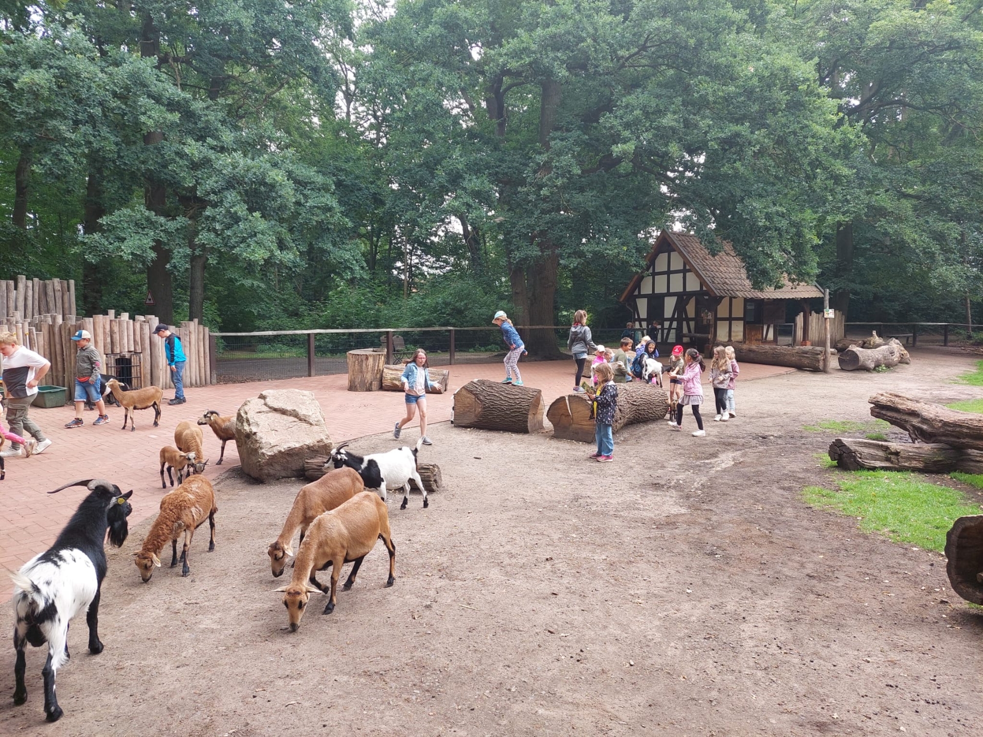 Tierpark3