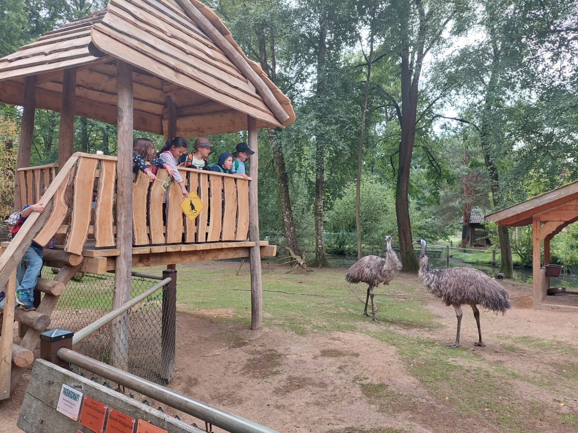Tierpark6