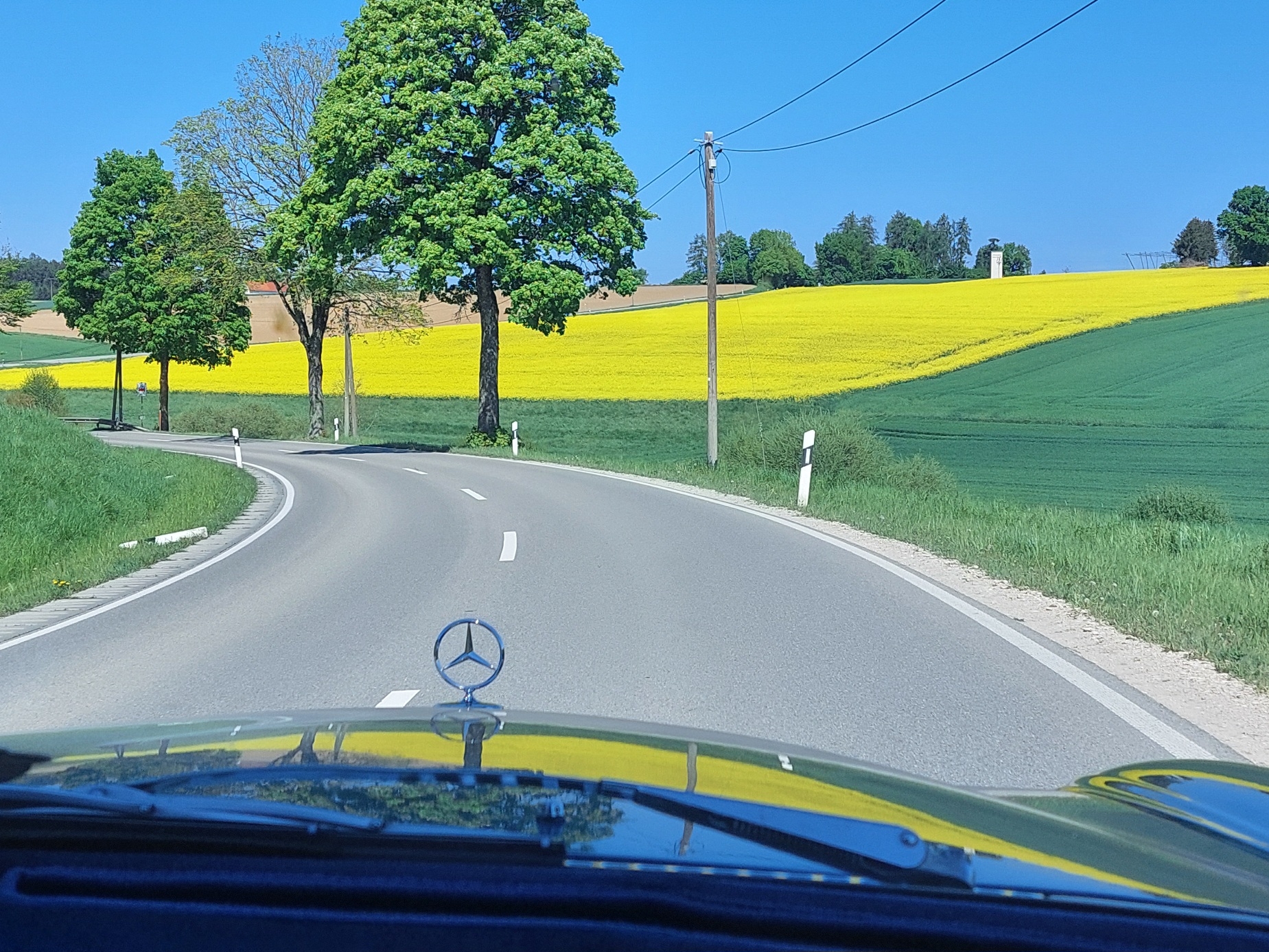 in der Hallertau