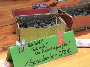 Förderpreis-2019_Selbst-gemachte-Samenbomben-c-Grundschule-Rabenstein-e1573144893404-300x225