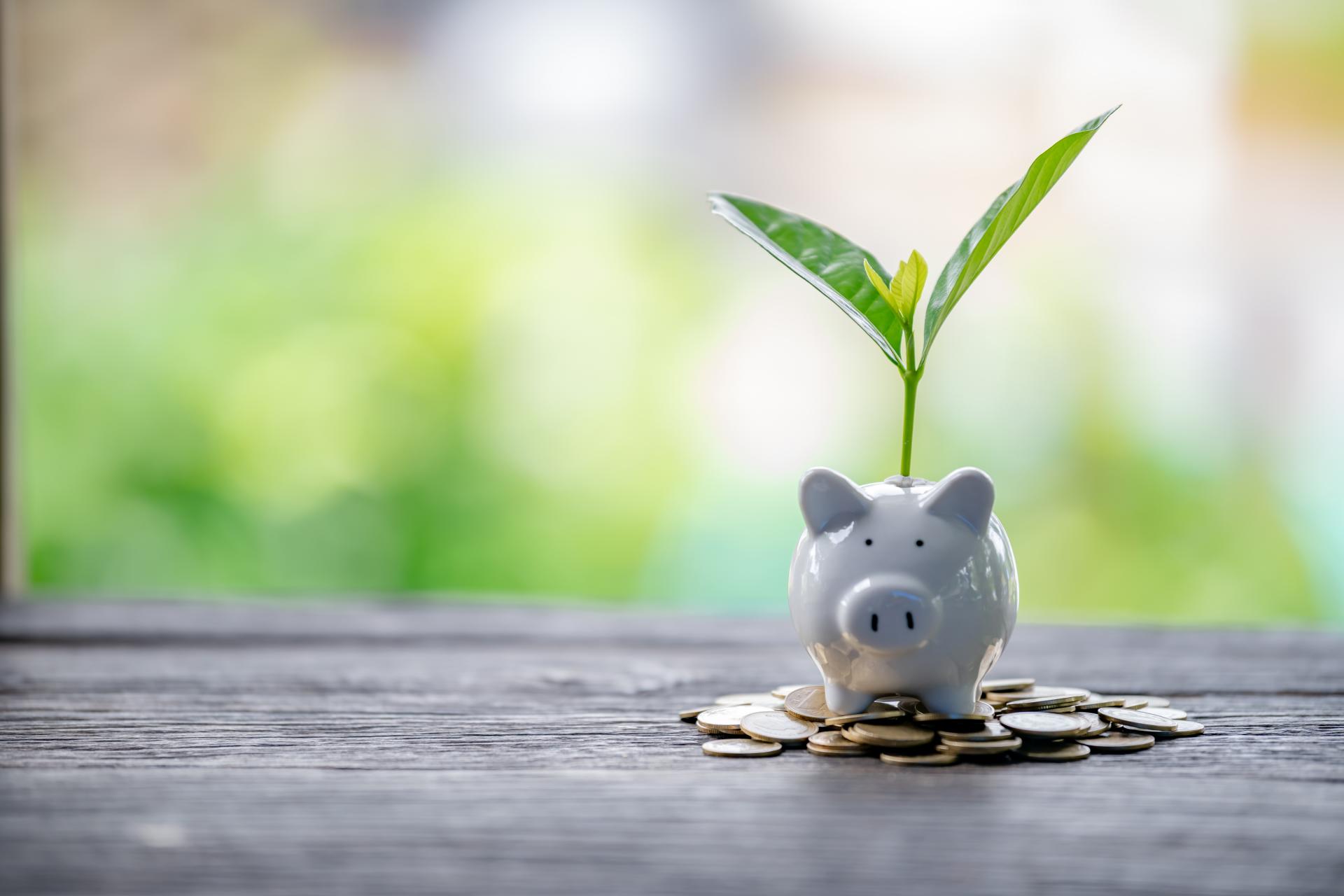 Sparschwein_Investition_Invest_in_Yourself_Preise