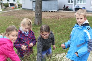Eindrücke aus der AG Schulgarten