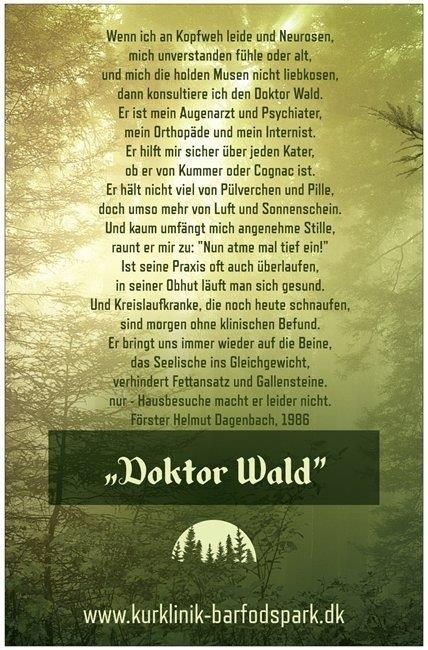 Doktor Wald